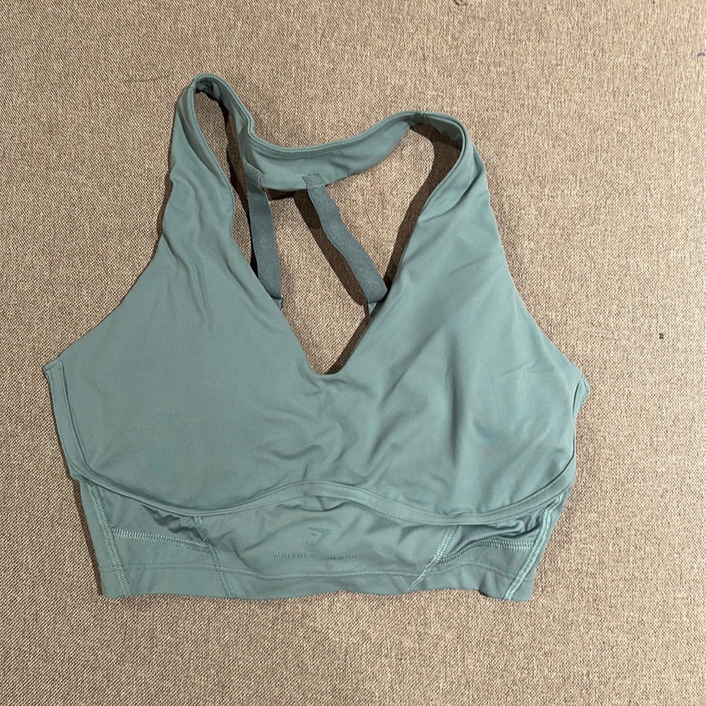 Whitney Simmons x gymshark sports bra